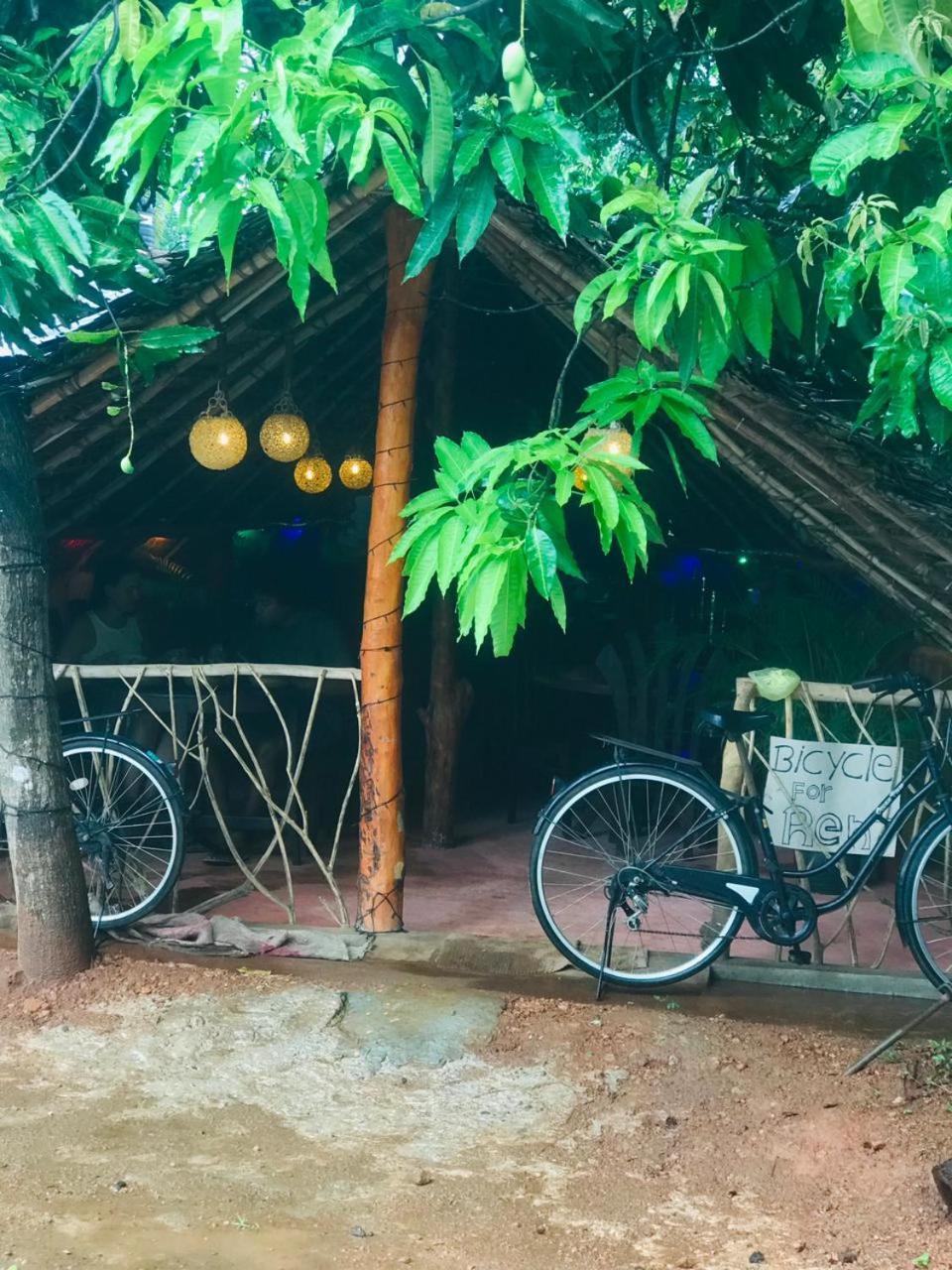 Sigiri Sara Home Stay Nice Village Sigiriya Exterior photo