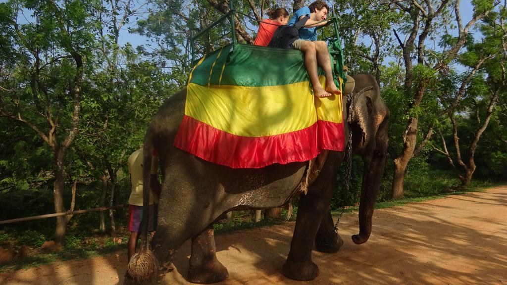 Sigiri Sara Home Stay Nice Village Sigiriya Exterior photo