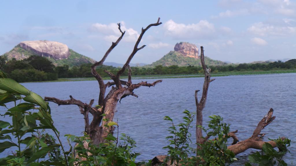 Sigiri Sara Home Stay Nice Village Sigiriya Exterior photo