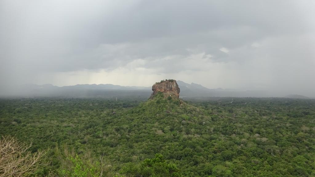 Sigiri Sara Home Stay Nice Village Sigiriya Exterior photo